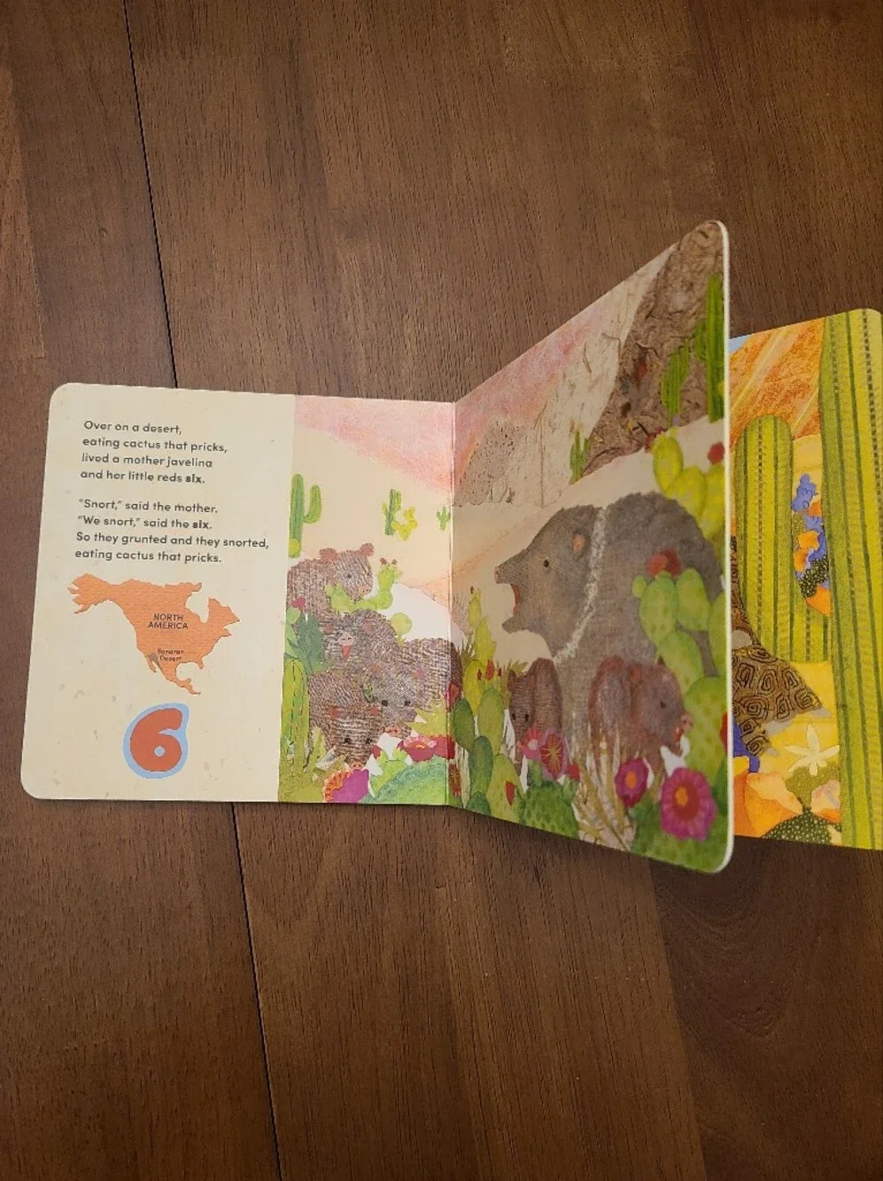 Over on a Desert Children's Board Book - Marianne Berkes Like New